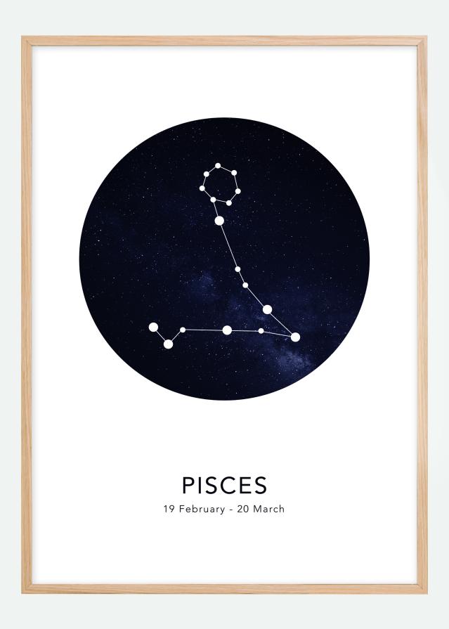 Pisces Plakāts