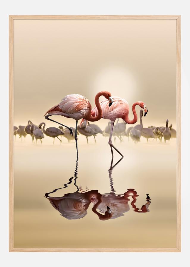 FLAMINGOS Plakāts