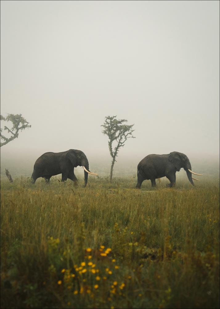 Elephant Walk Plakāts