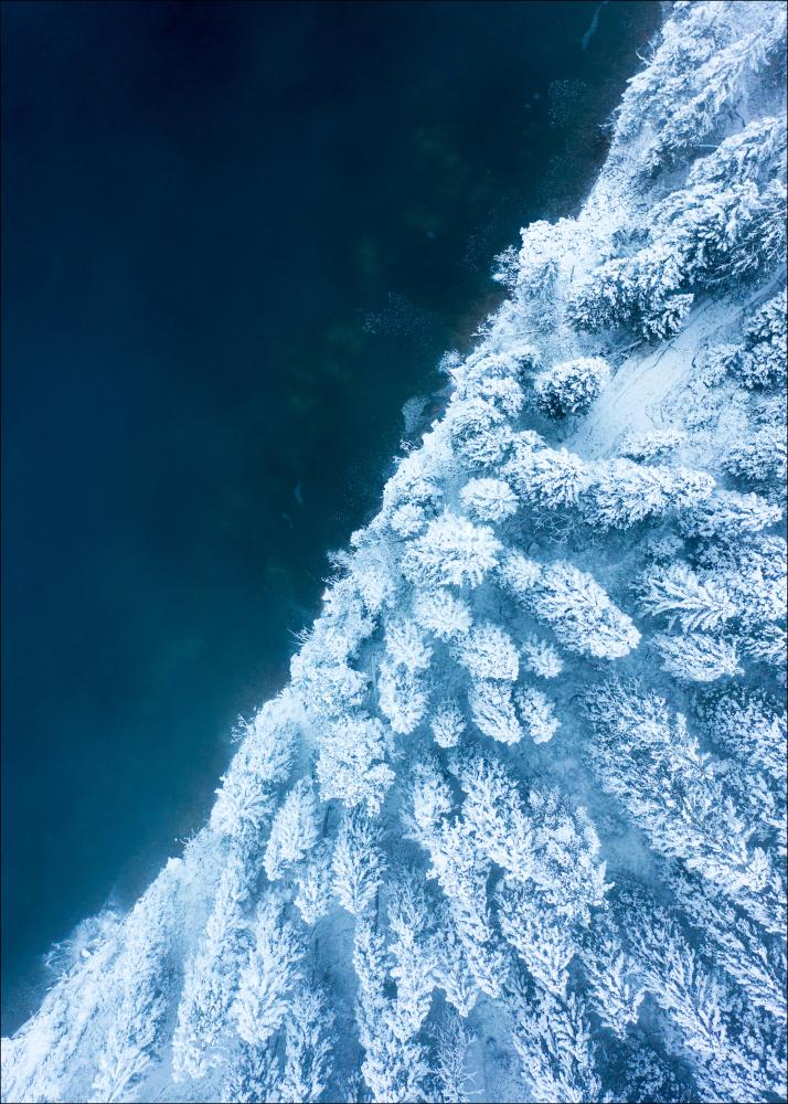 Frosty Forest Plakāts