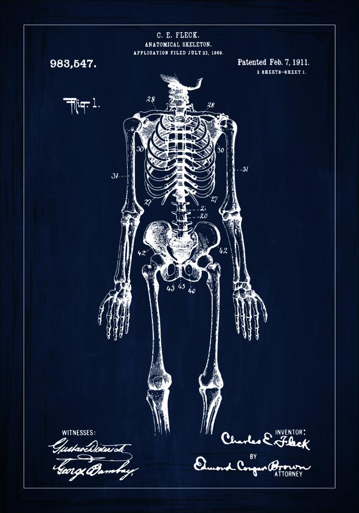 Patenta rasējums - Anatomisks skelets x - Zils Plakāts