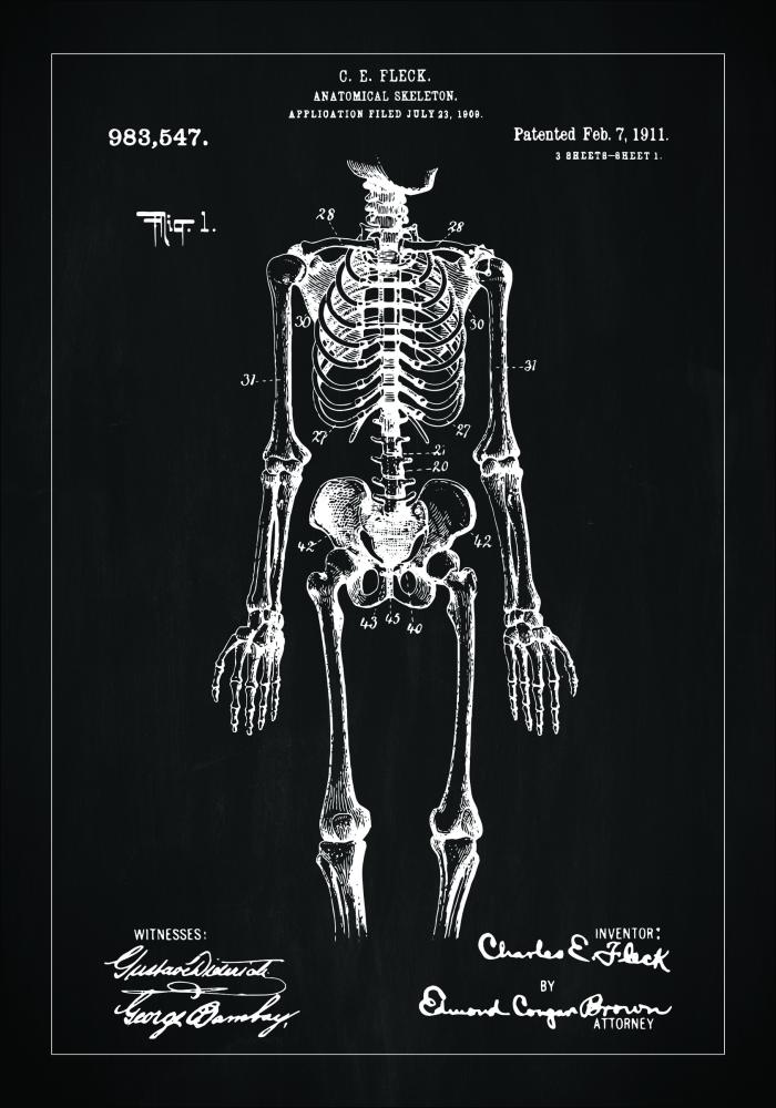 Patenta rasējums - Anatomisks skelets x - Melns Plakāts