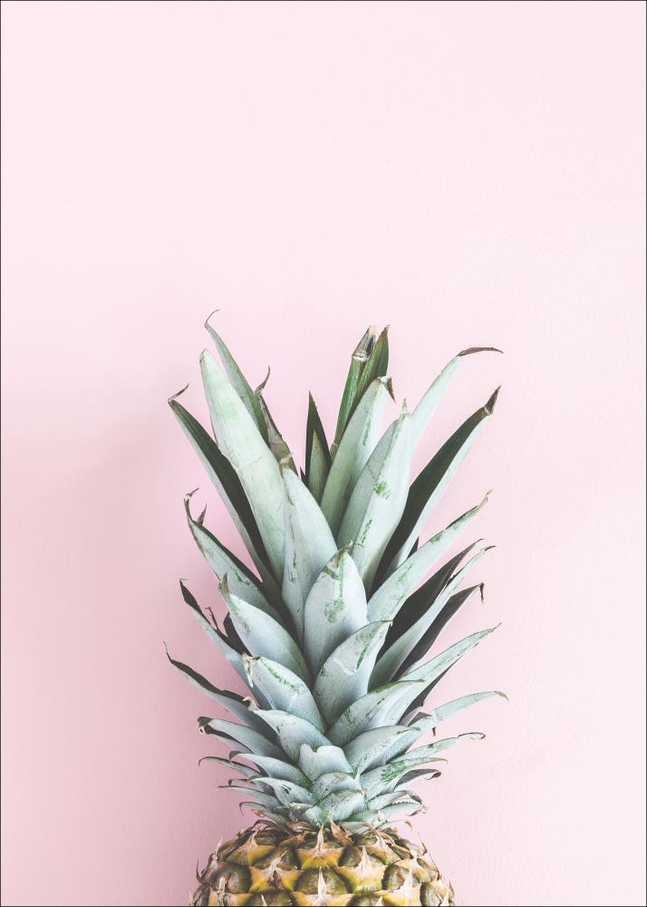 Pineapple Pink Plakāts