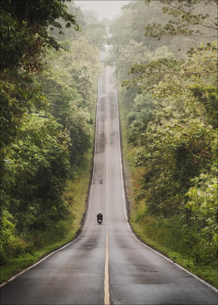 Road Plakāts