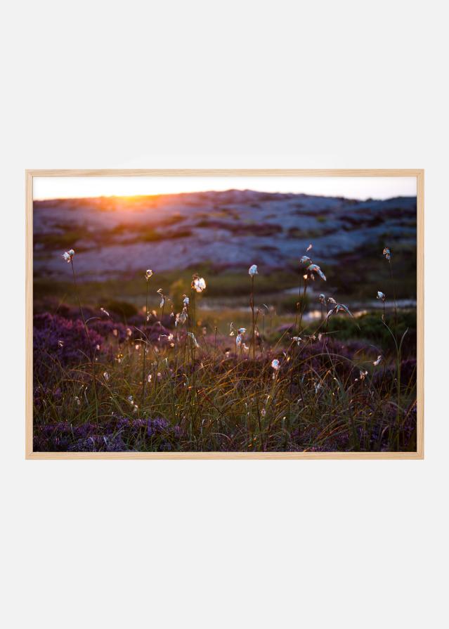 Summer evening on the rocks Plakāts