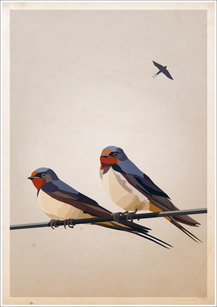 Swallows Plakāts