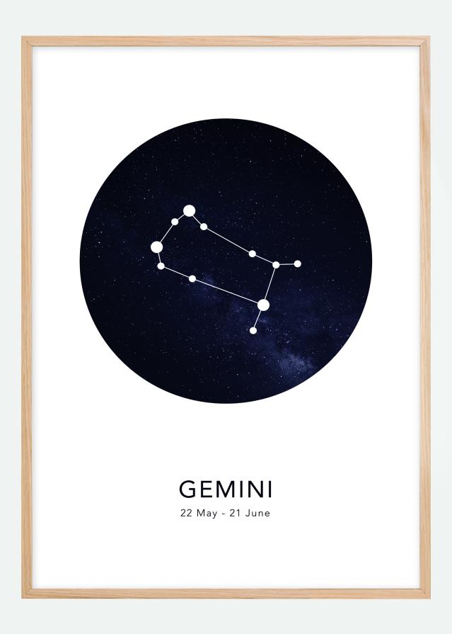 Gemini Plakāts