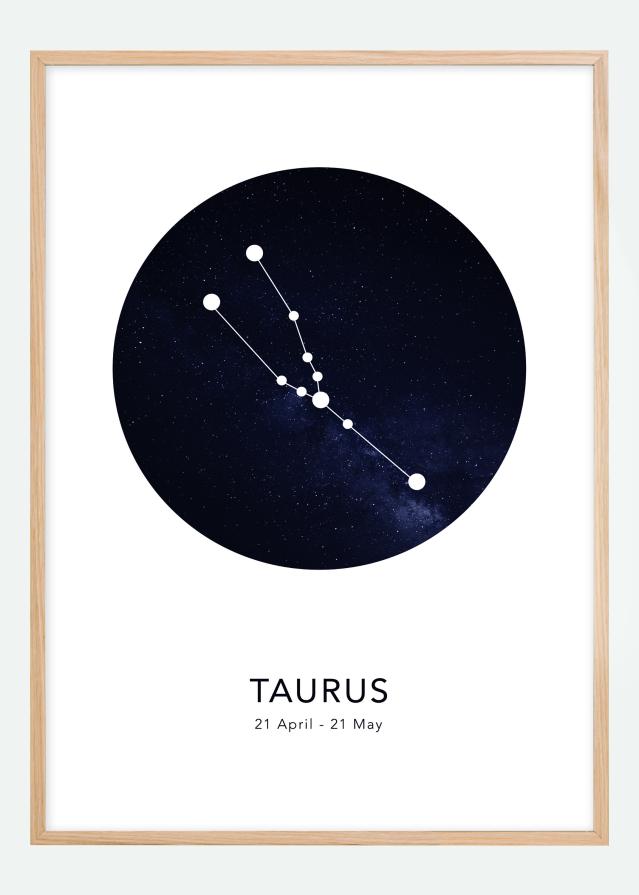 Taurus Plakāts