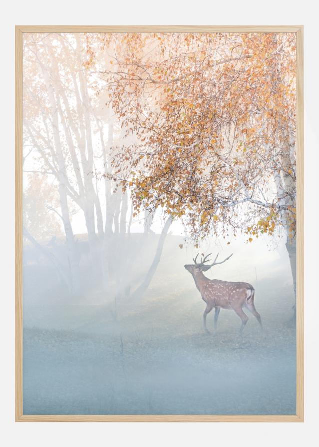 Elk Lost In Mist Plakāts