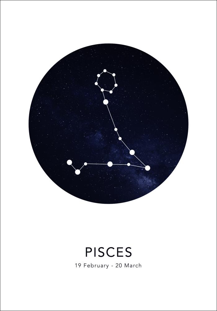 Pisces Plakāts