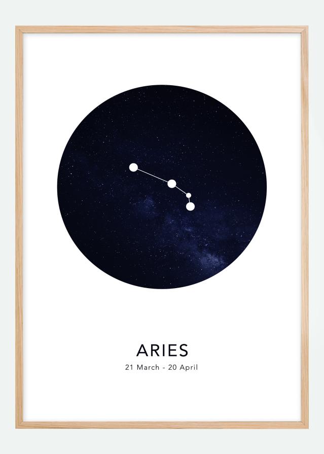 Aries Plakāts