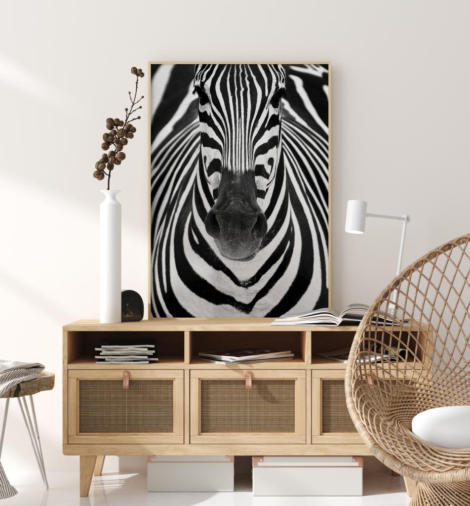 Zebra Plakāts