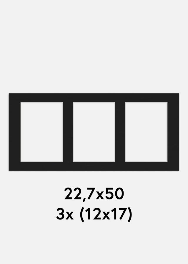 Paspartū Melns 22,7x50 cm - Kolāža 3 Bildes (12x17 cm)