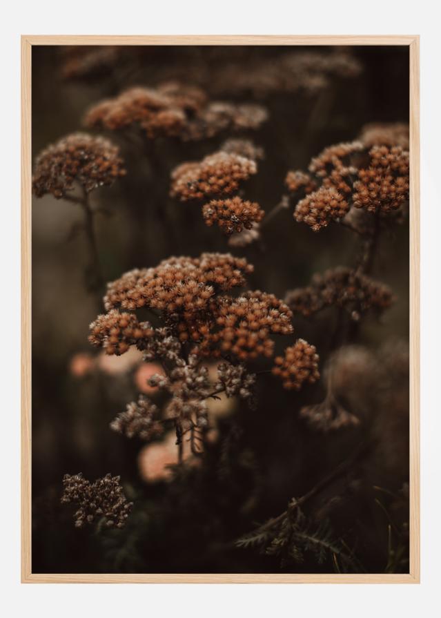 Cow Parsley Plakāts