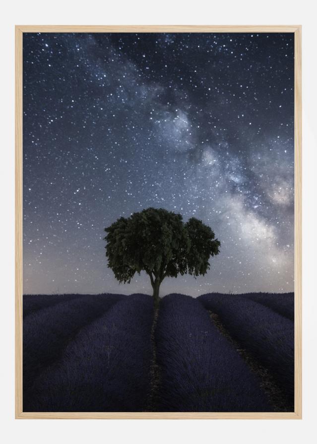 Tree And Milky Way Plakāts