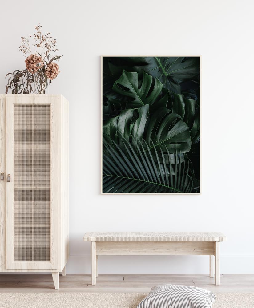 Monstera Plant II Plakāts