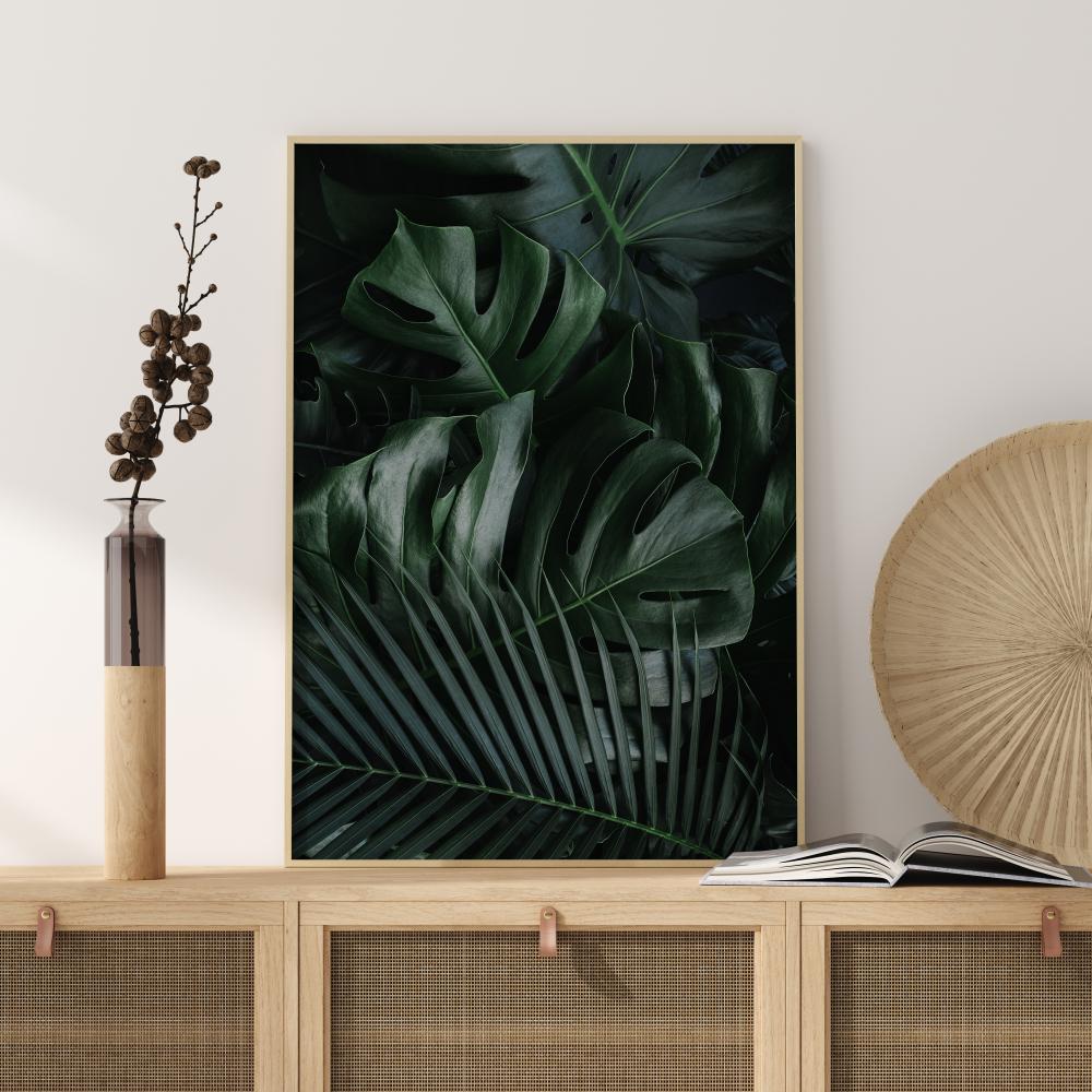 Monstera Plant II Plakāts