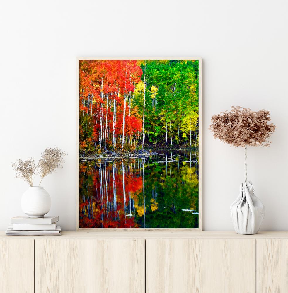 Colourful Trees By The Lake Plakāts