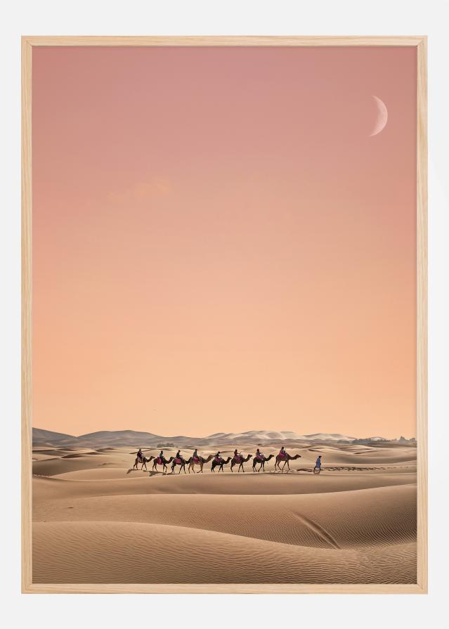 Eight Camels Plakāts