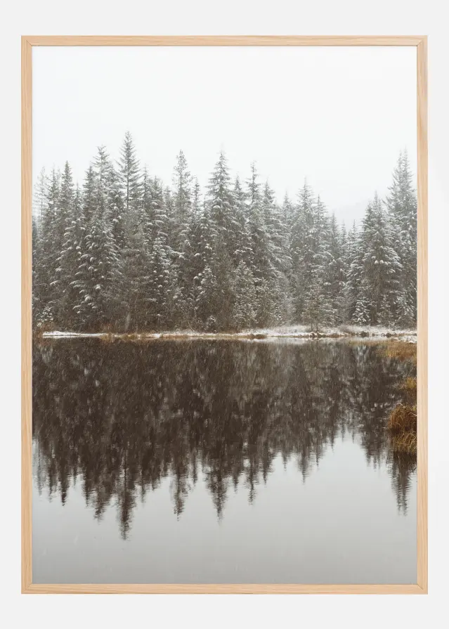 Cold Day By The Lake Plakāts