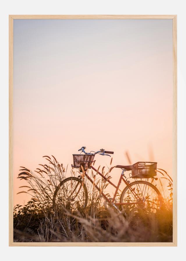 Bike Ride In The Sunset Plakāts