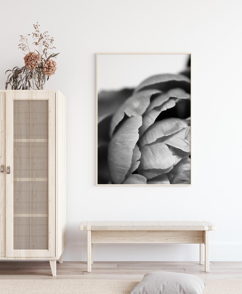 Peony B&W Plakāts