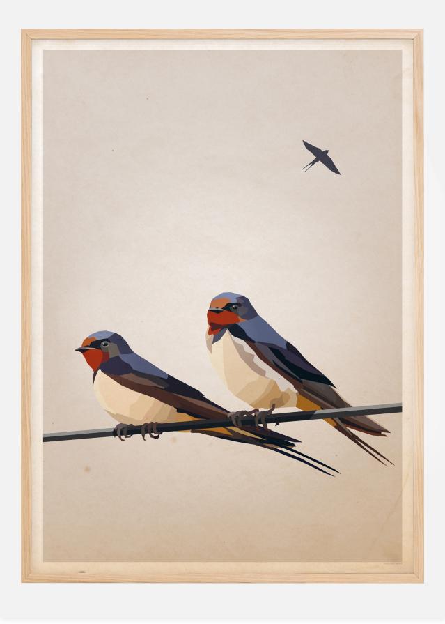 Swallows Plakāts