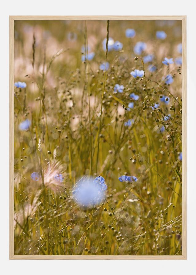 Summer Fields I Plakāts