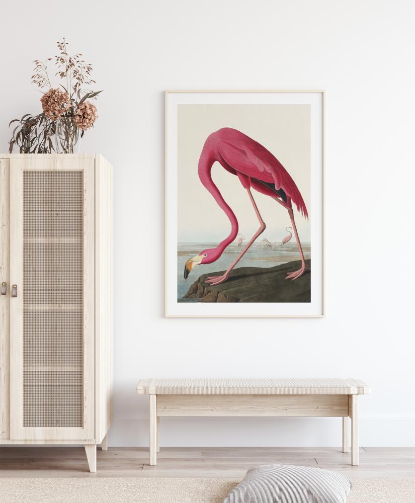 American Flamingo Plakāts