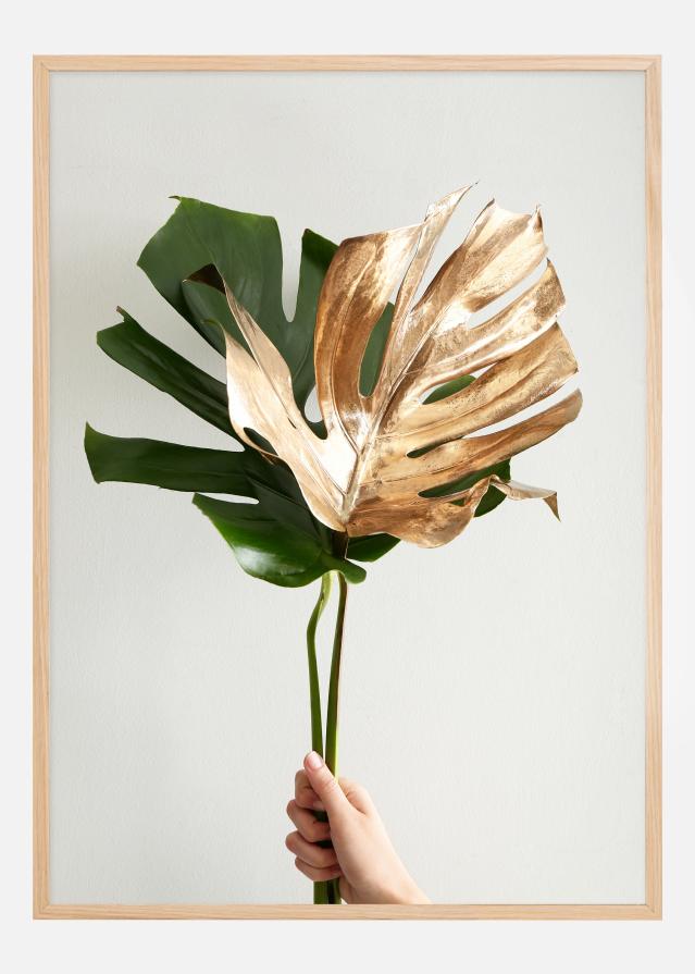 Golden monstera Plakāts