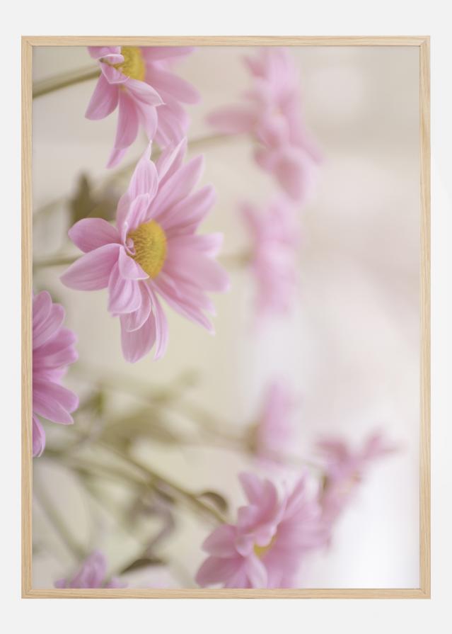 Pink Flowers Plakāts