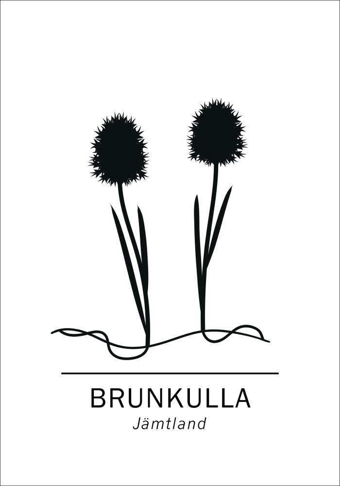 Brunkulla - Jämtland Poster