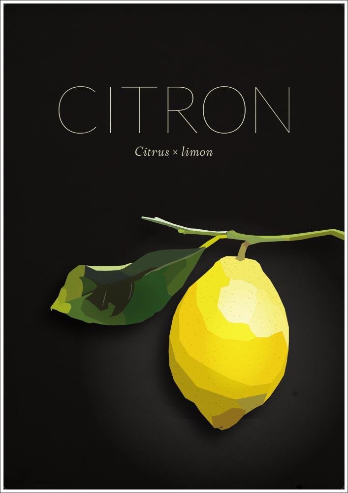 Citron Plakāts