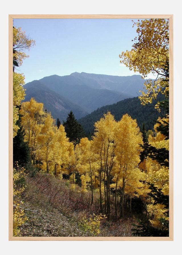 Yellow Trees Plakāts