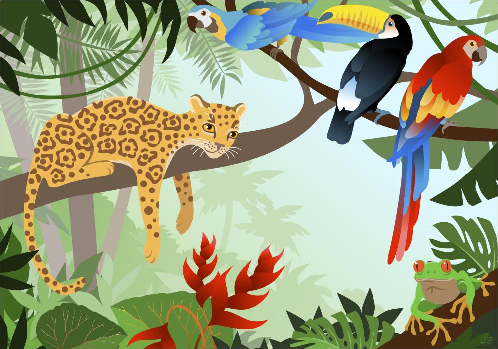 Jungle Animals Plakāts