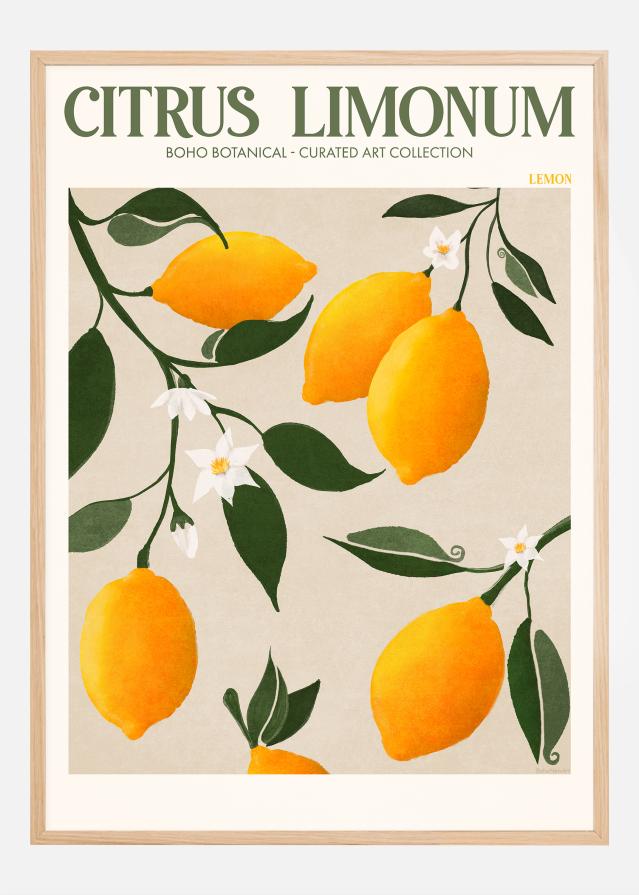 Boho Citrus Limonum Plakāts