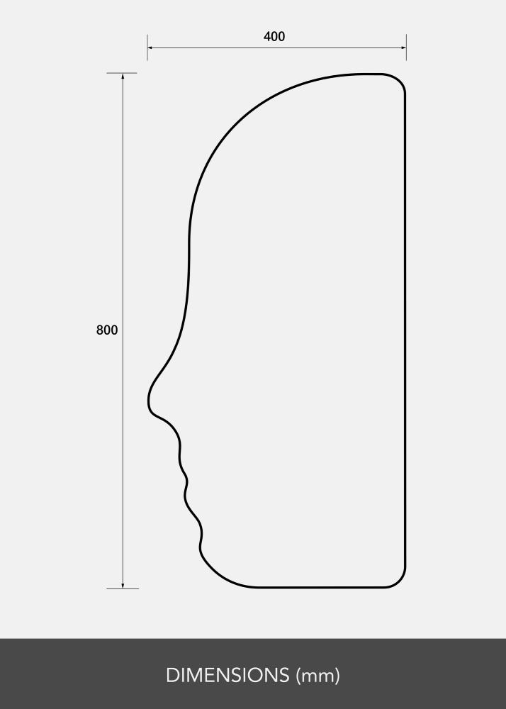 Spogulis Face 40x80 cm