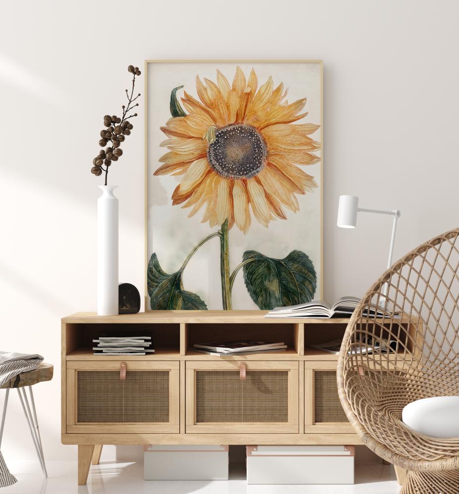 Sunflower Art Plakāts