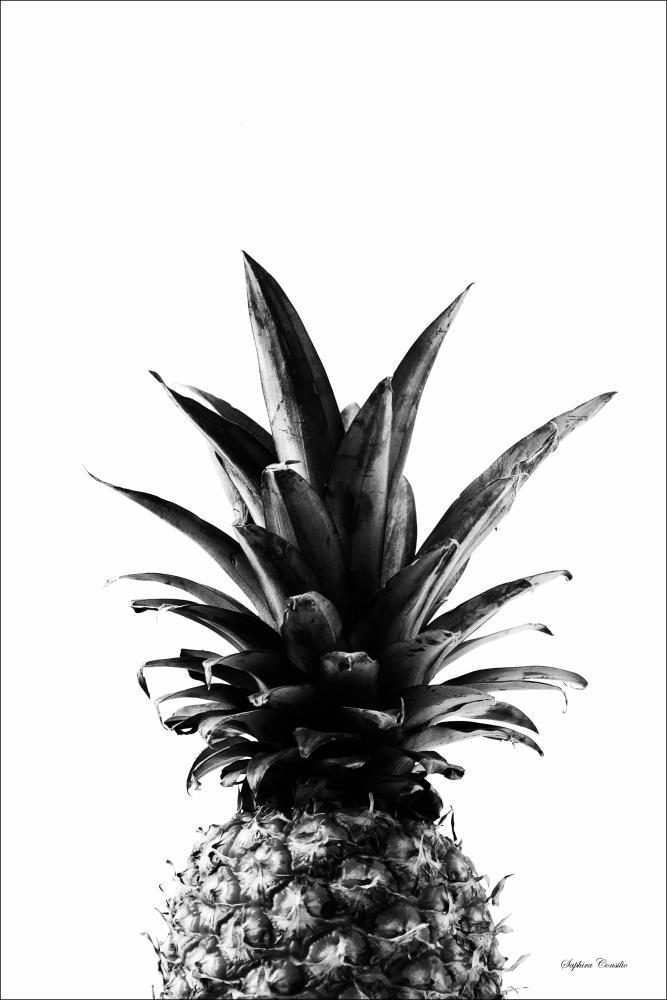 Pineapple B&W Plakāts