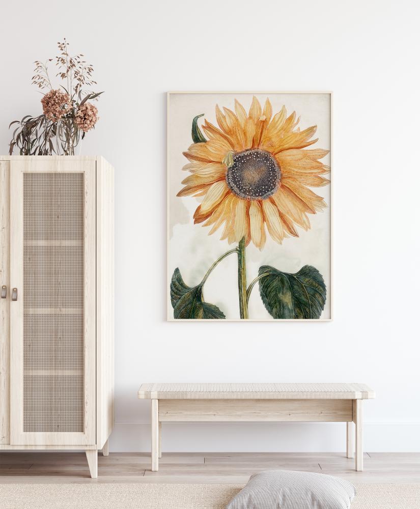 Sunflower Art Plakāts