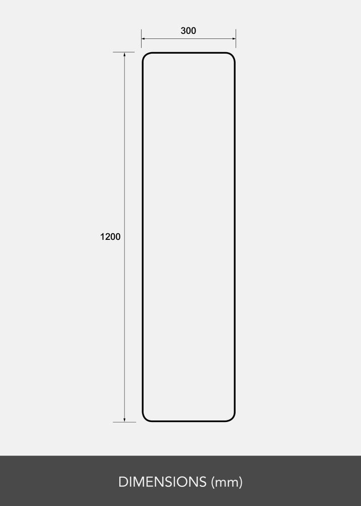 Spogulis Rectangle L 30x120 cm