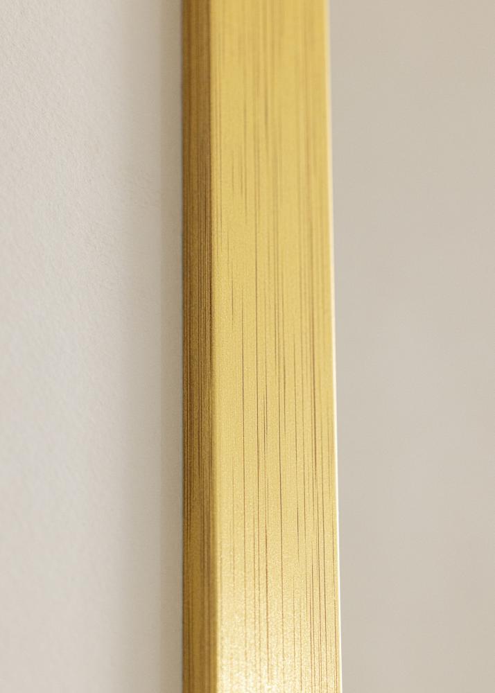 Rāmis Gold Wood 40x100 cm