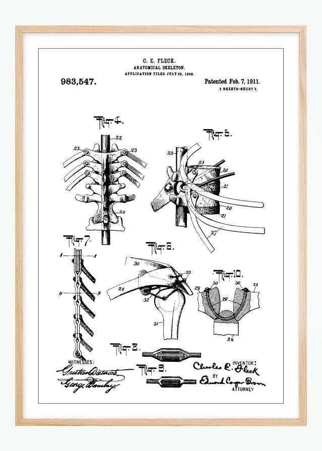 Patenta rasējums - Anatomisks skelets III Plakāts