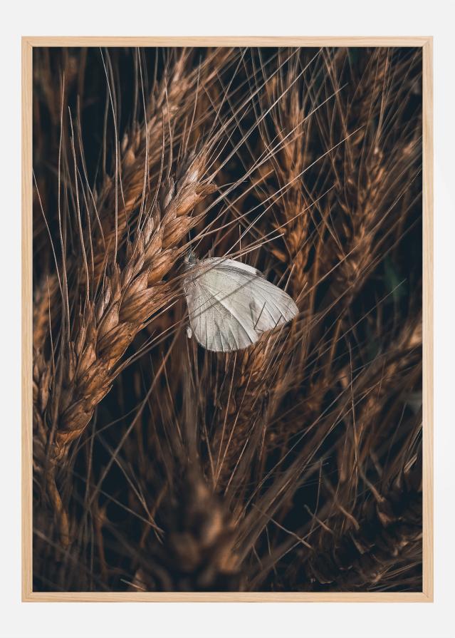 White Butterfly Plakāts