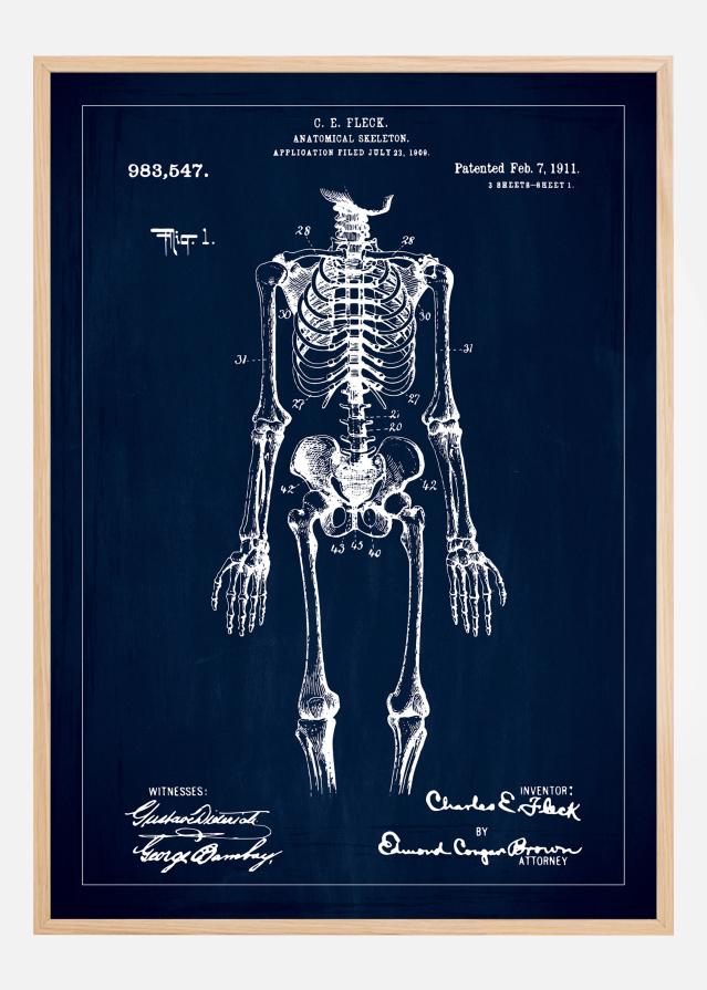 Patenta rasējums - Anatomisks skelets x - Zils Plakāts