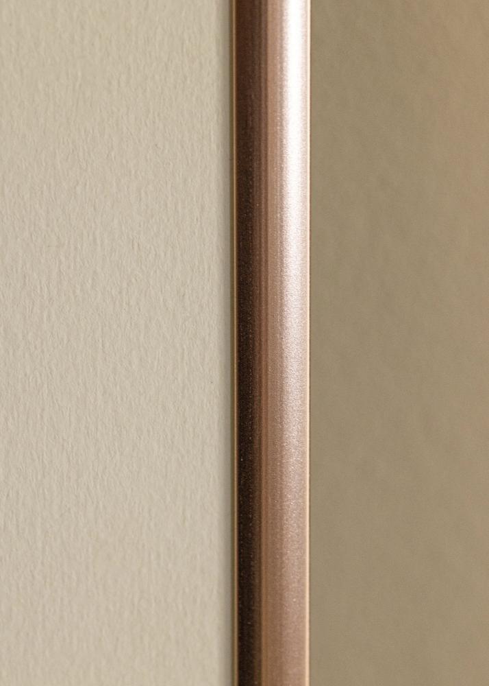 Rāmis Scandi Akrila stikls Rose gold 70x100 cm