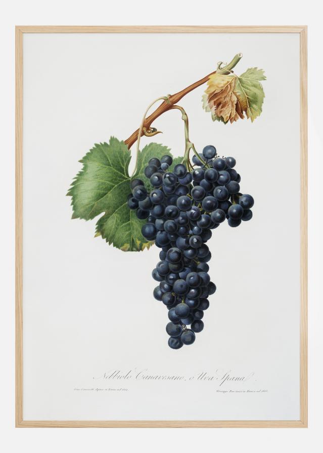 Grapes Plakāts