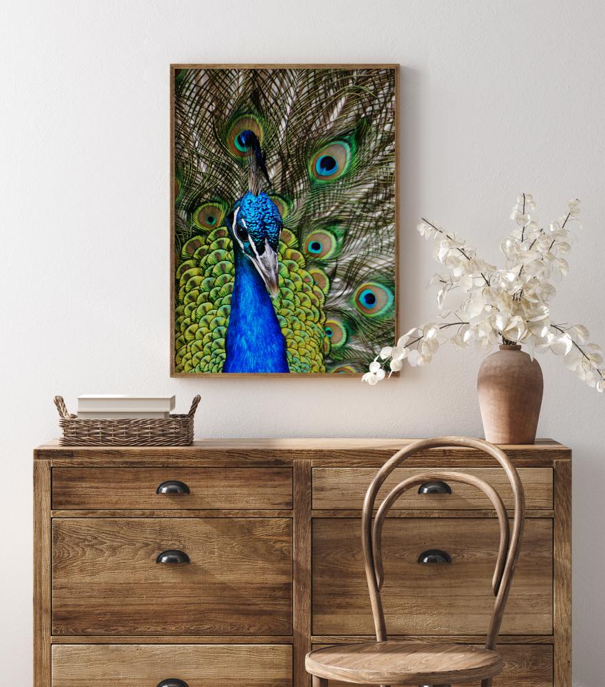 Peacock I Plakāts