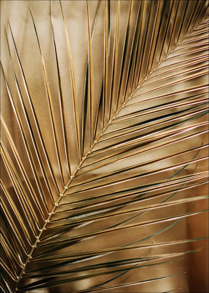 Golden Palm Plakāts