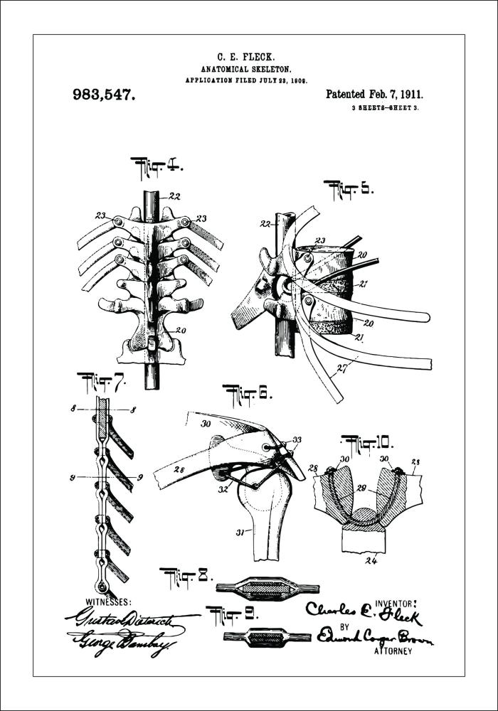 Patenta rasējums - Anatomisks skelets III Plakāts